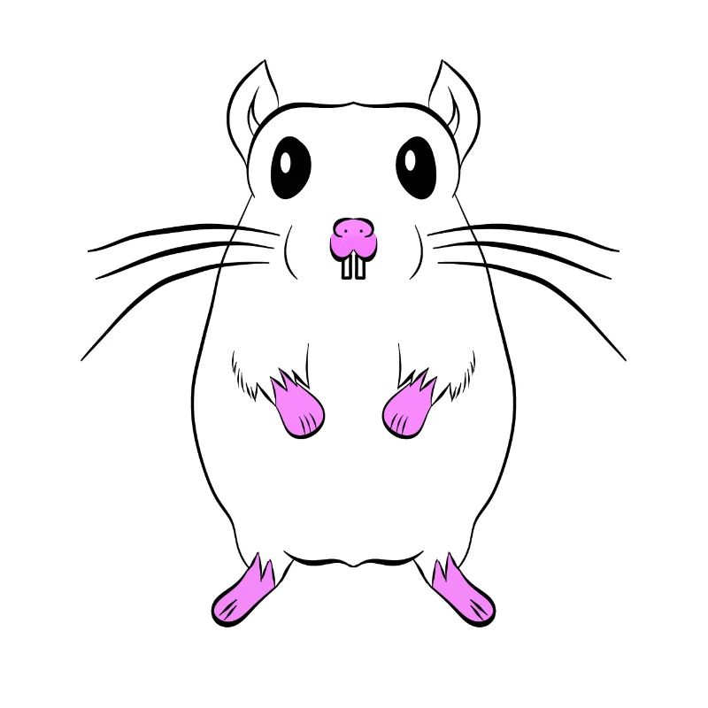 Maus