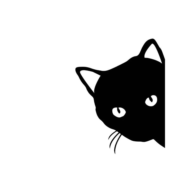Schwarze Katze