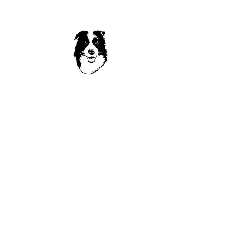 (Border-Collie-Herzschlag)