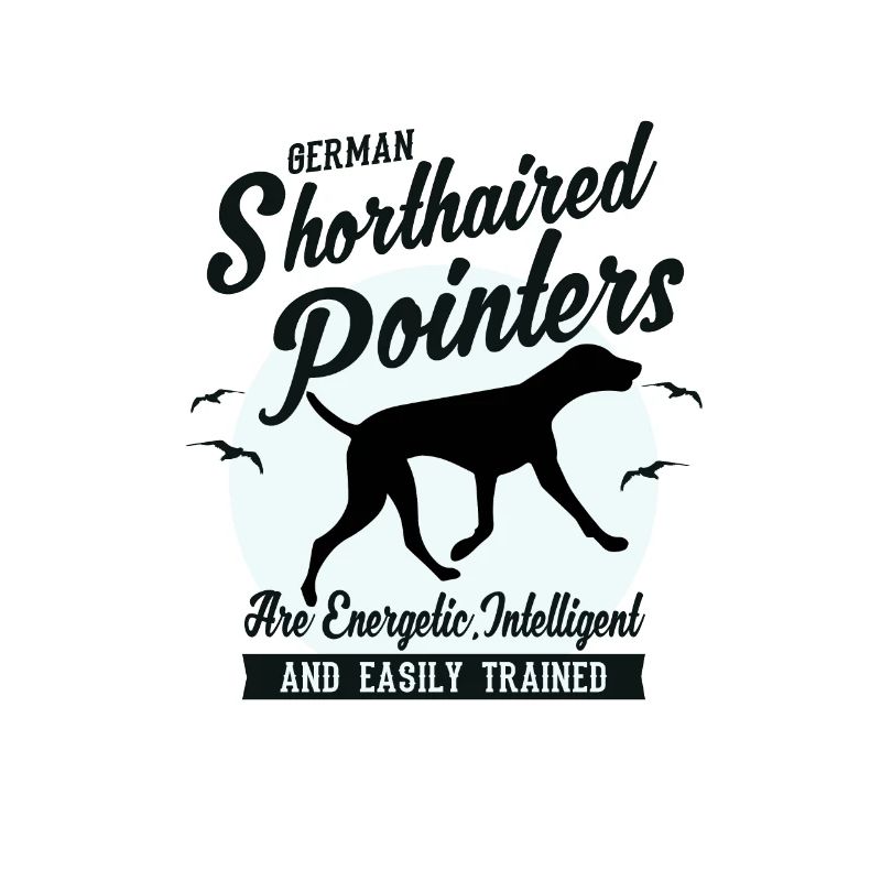 Pointer Hunderasse