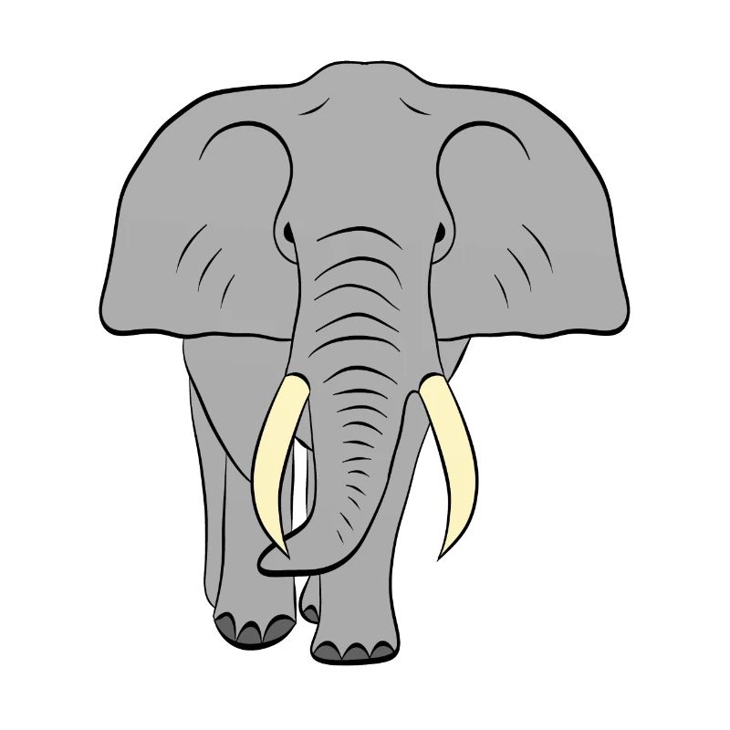 Elefant