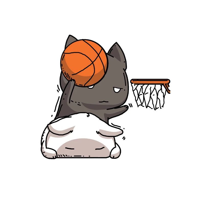 Katze Basketball