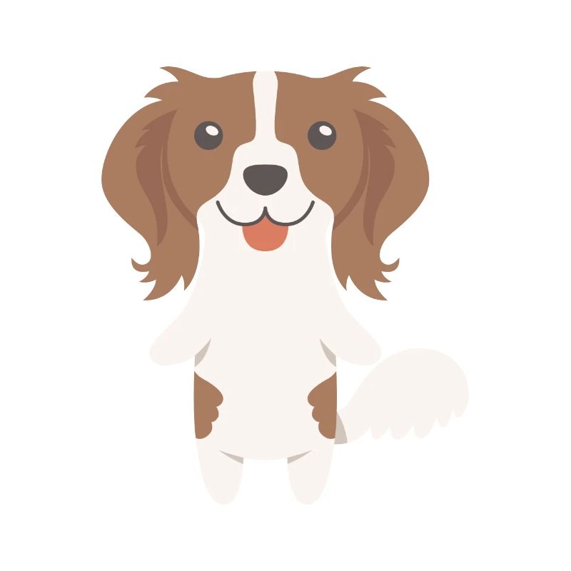 Kooikerhondje Geschenkidee