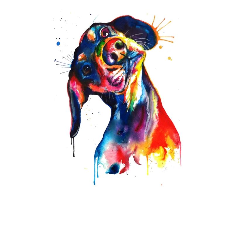 Hund Aquarell Bunt