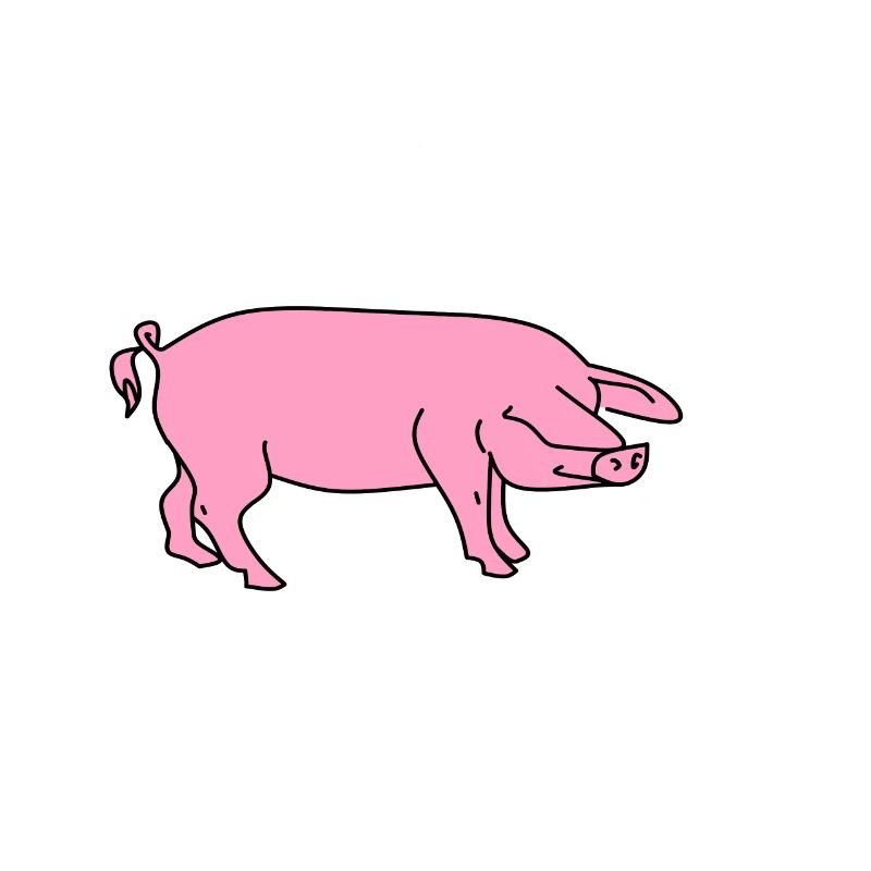 Arme sau