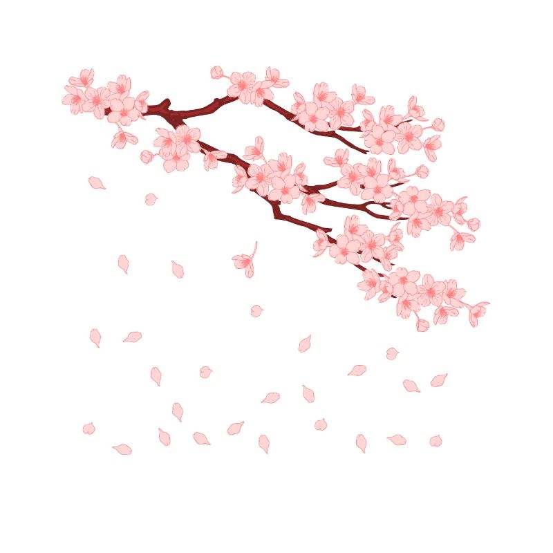 sakura