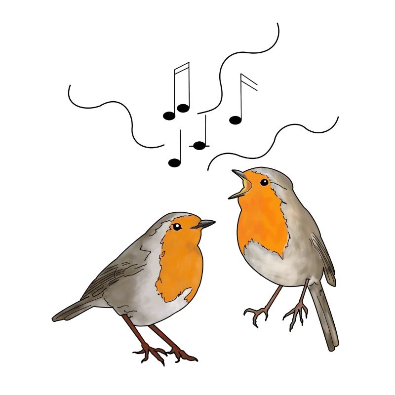 Singende Rotkehlchen