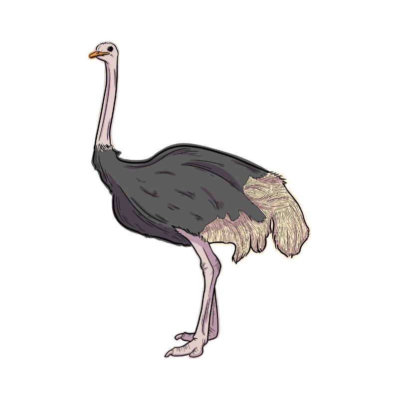 Strauß-Illustration