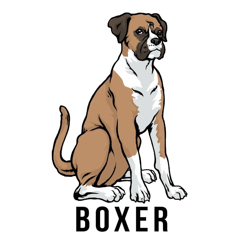 Boxer Hund