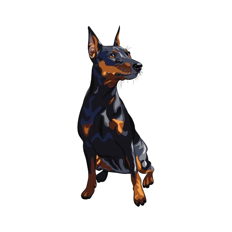 Zwergpinscher