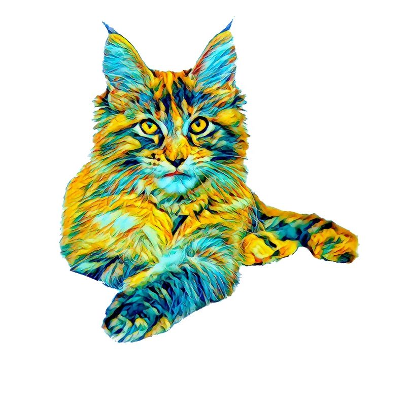 Maine Coon