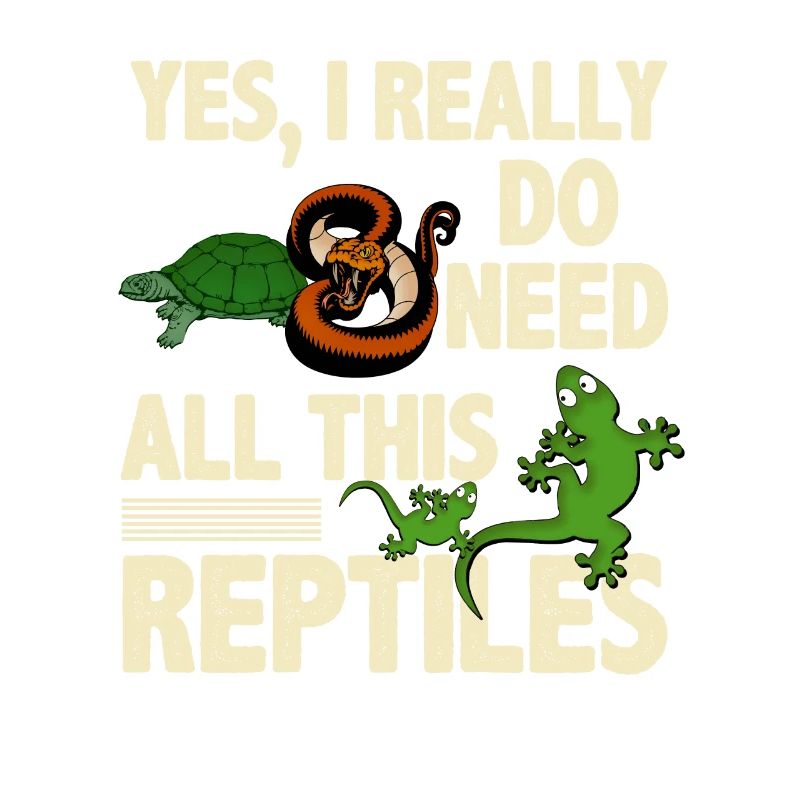 Gecko lizard