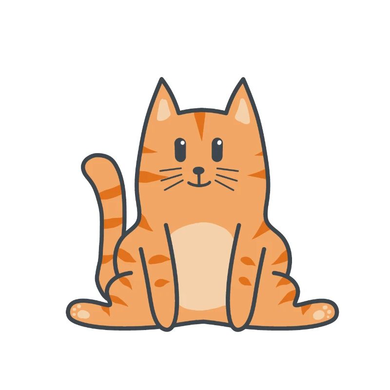 Katze Katzen Kitten