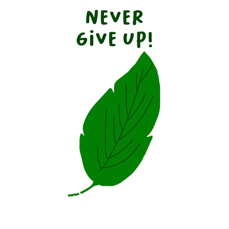 Never give up
