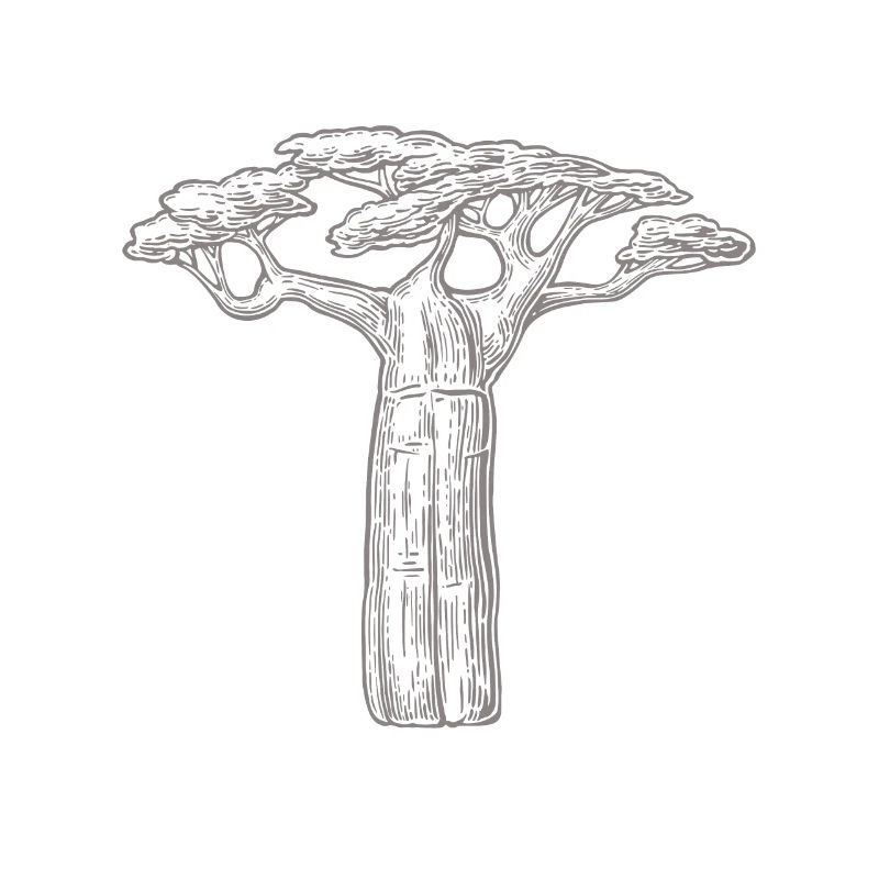 baobab trees lover gift Africa Graphic