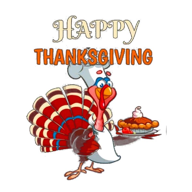 Thanksgiving-Truthahn