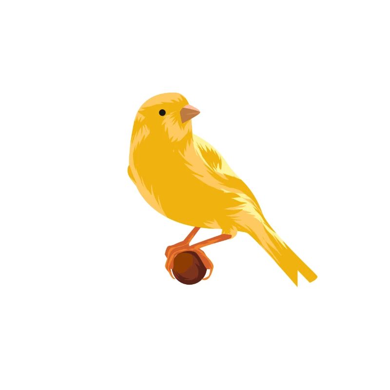 Kanarienvogel auf Zweig