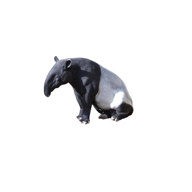 Tapir