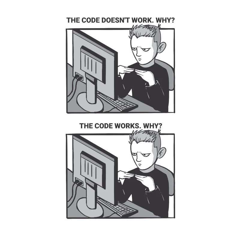 "My Code Works. WHY?" | Programmierer
