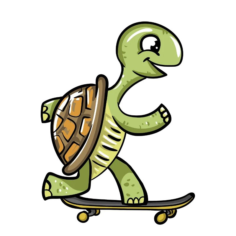 Skate Turtle