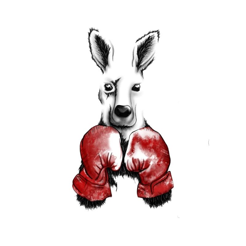 Känguru mit Boxhandschuhen