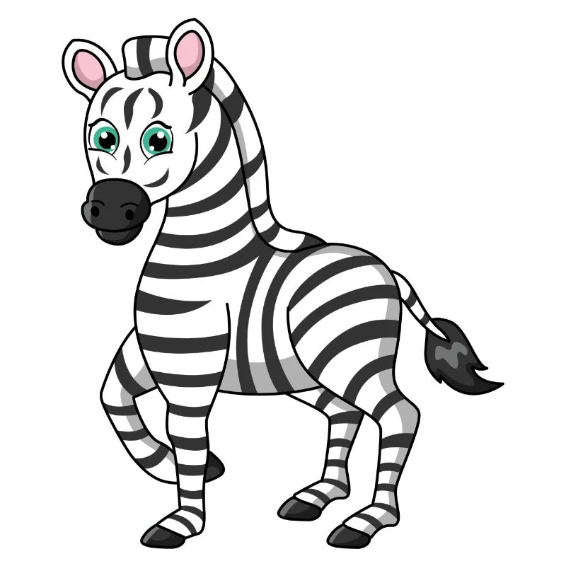 zebra