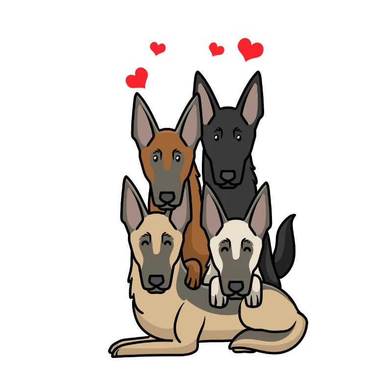Malinois Hunde