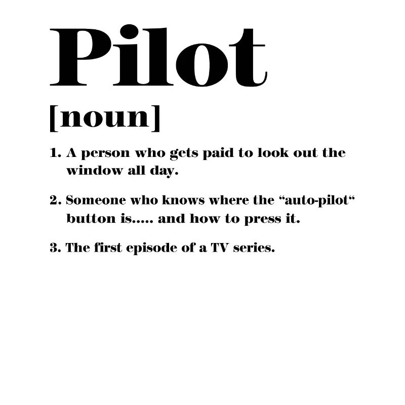 Pilot Definition