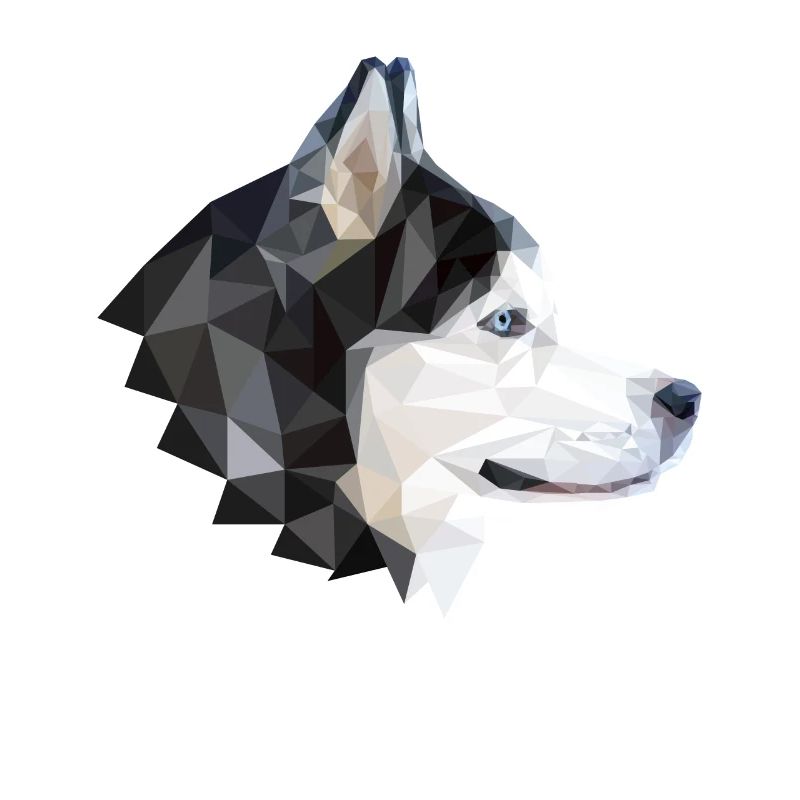 Hund Husky Polygon