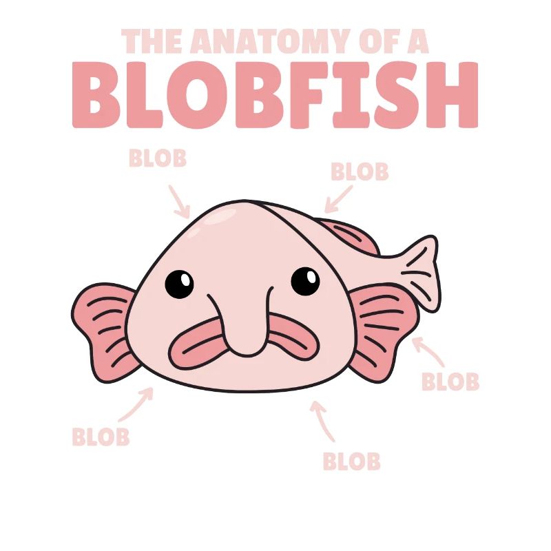 Blobfish Explication Anatomie d’un Blobfish