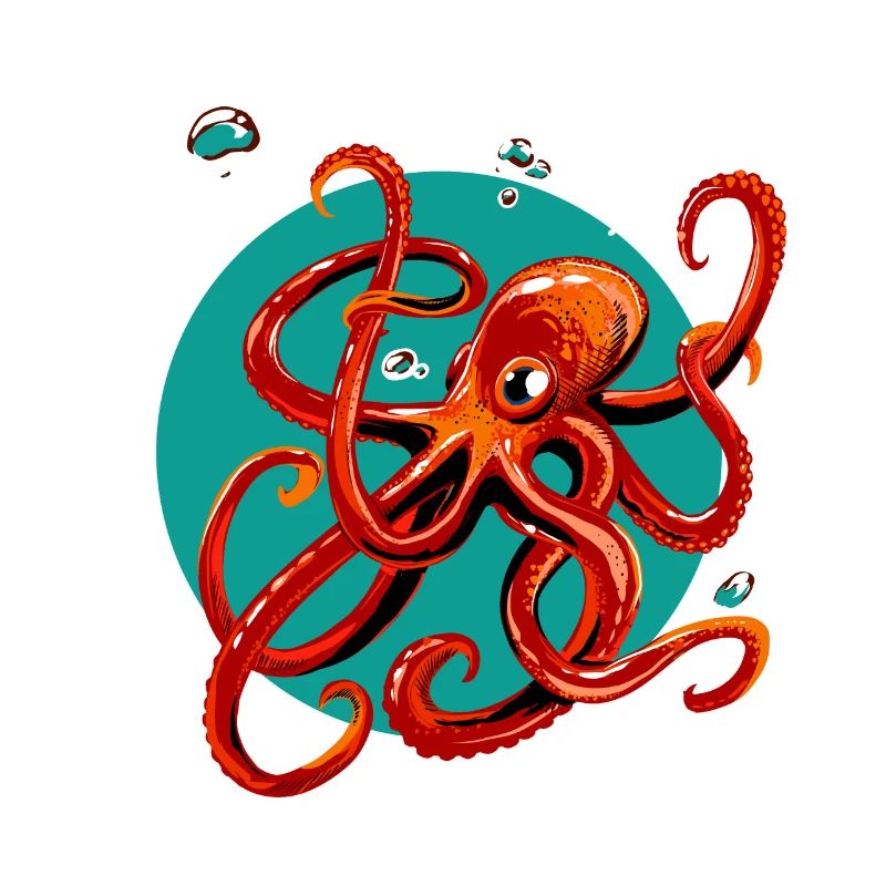 Octopus