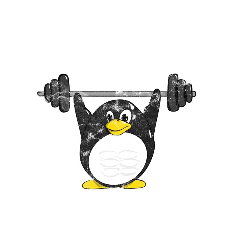 Do You Even Linux Bro Linux Pinguin hebt Gewichte