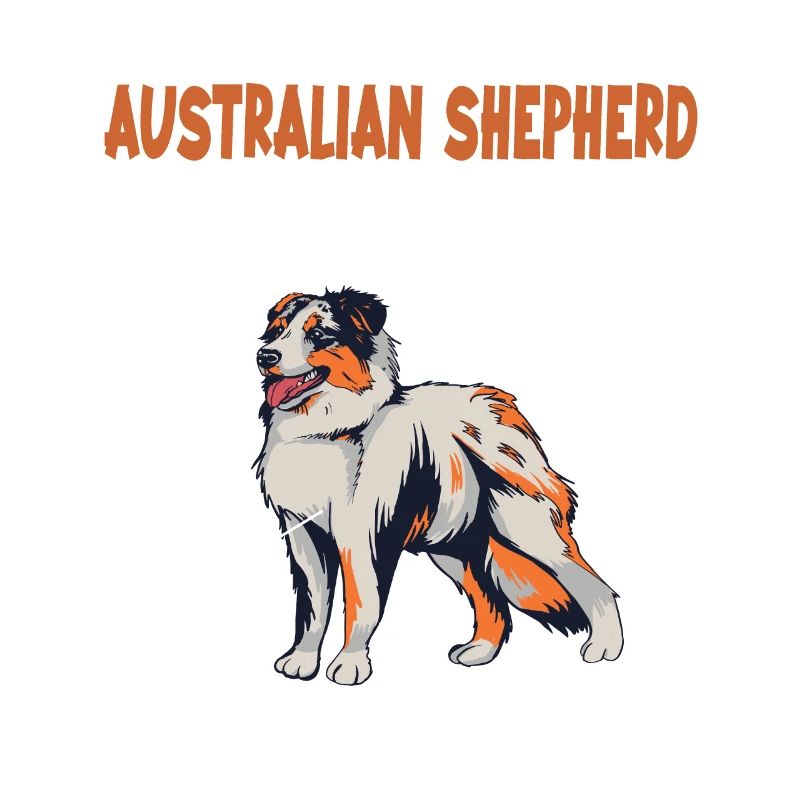 Australian Shepherd Aussie Anatomie Aussie