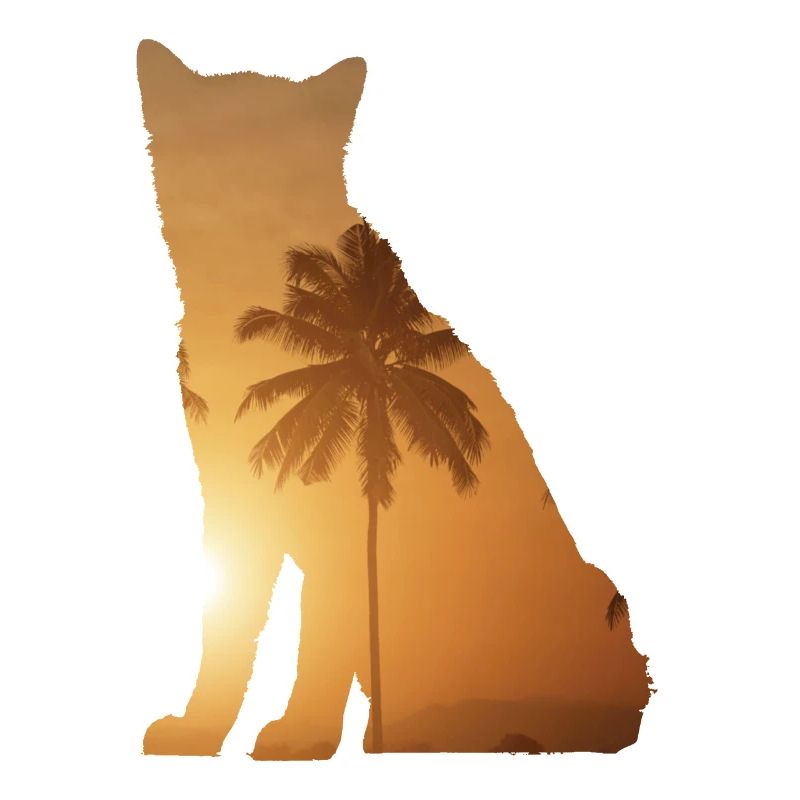 Sommerstrand - Akita