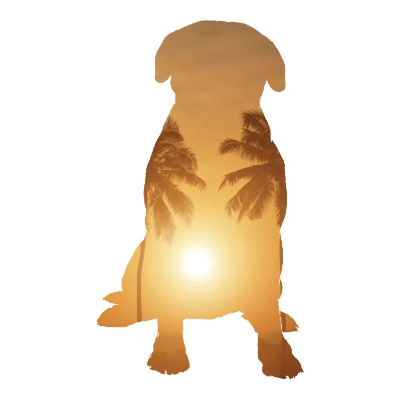 Sommerstrand - Bullmastiff