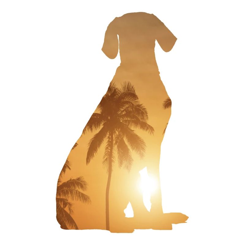 Summer Beach - Weimaraner