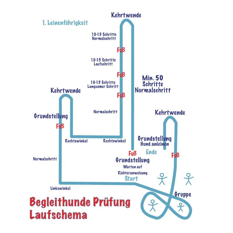 Begleit Hunde Laufschema