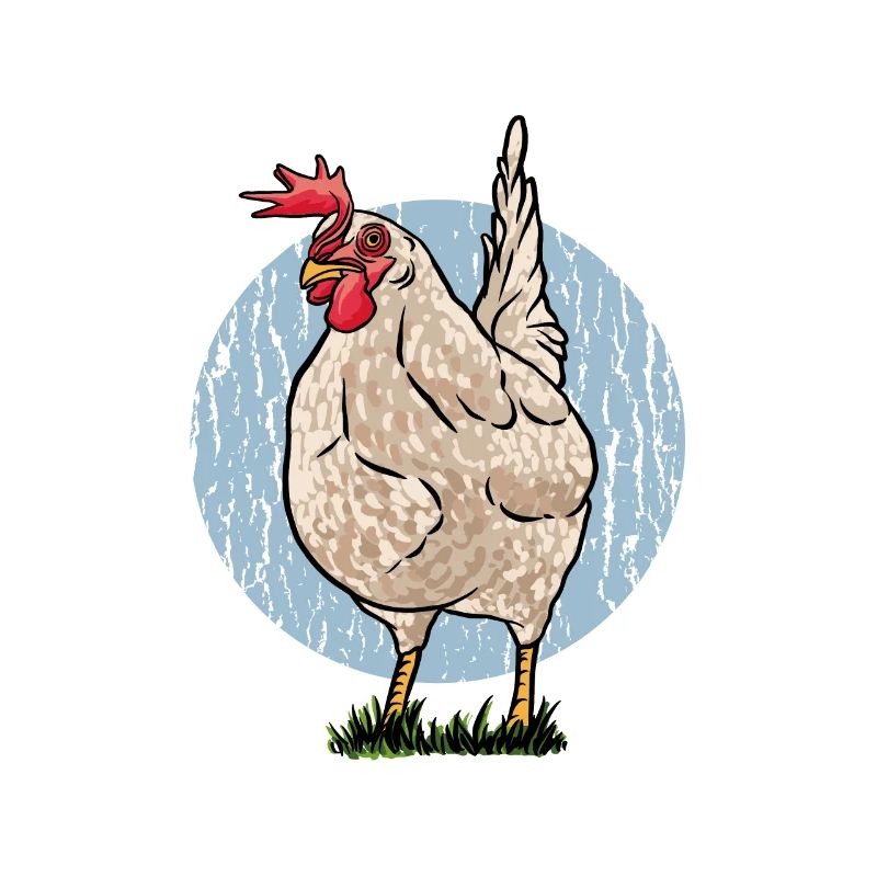 Huhn Hühner Flüsterer