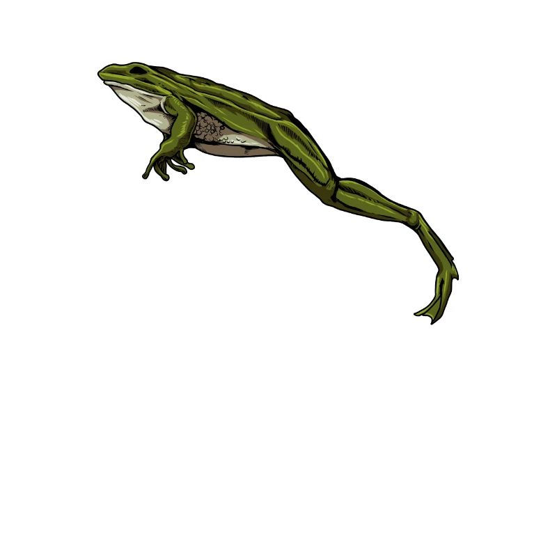 Frosch springt - Frösche