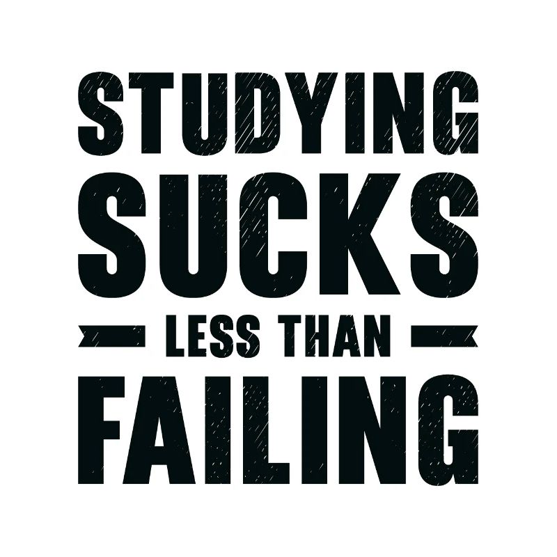 Studying Student Learning Education Lessons Study