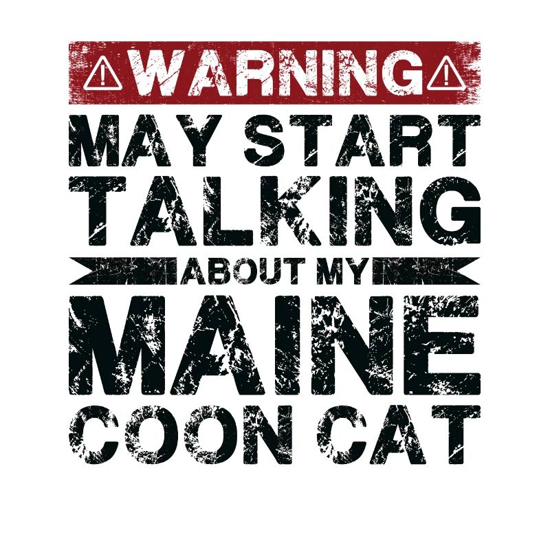 Apropos Abessinierkatze