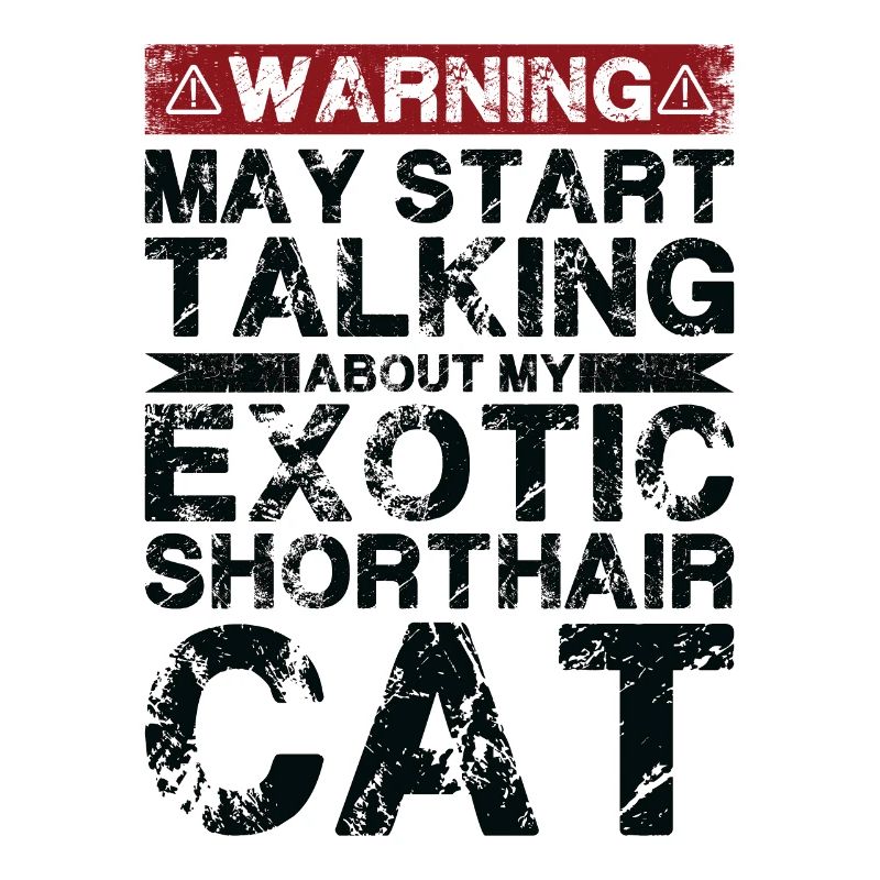 Apropos Exotische Kurzhaarkatze