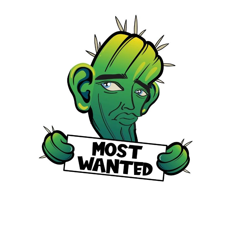 Most Wanted Ohrwaschlkaktus
