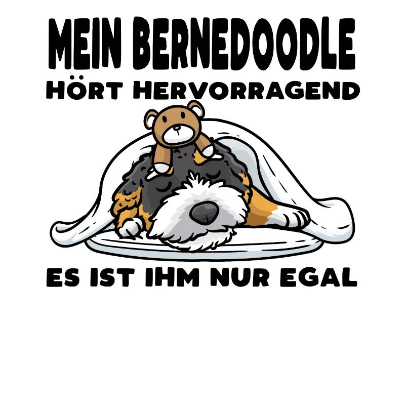Bernedoodle Hund