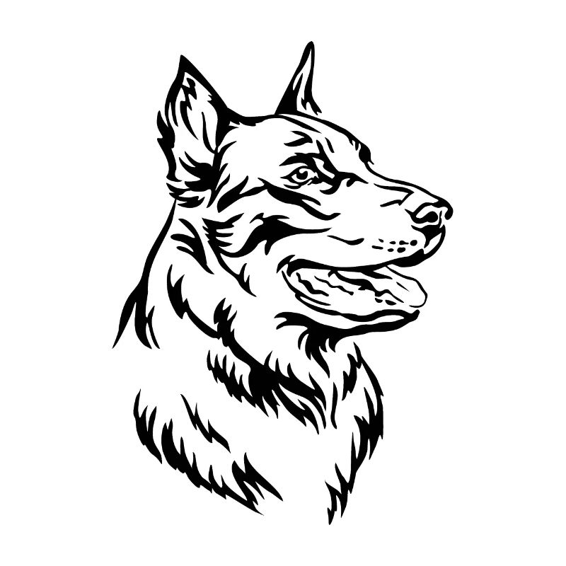 Beauceron