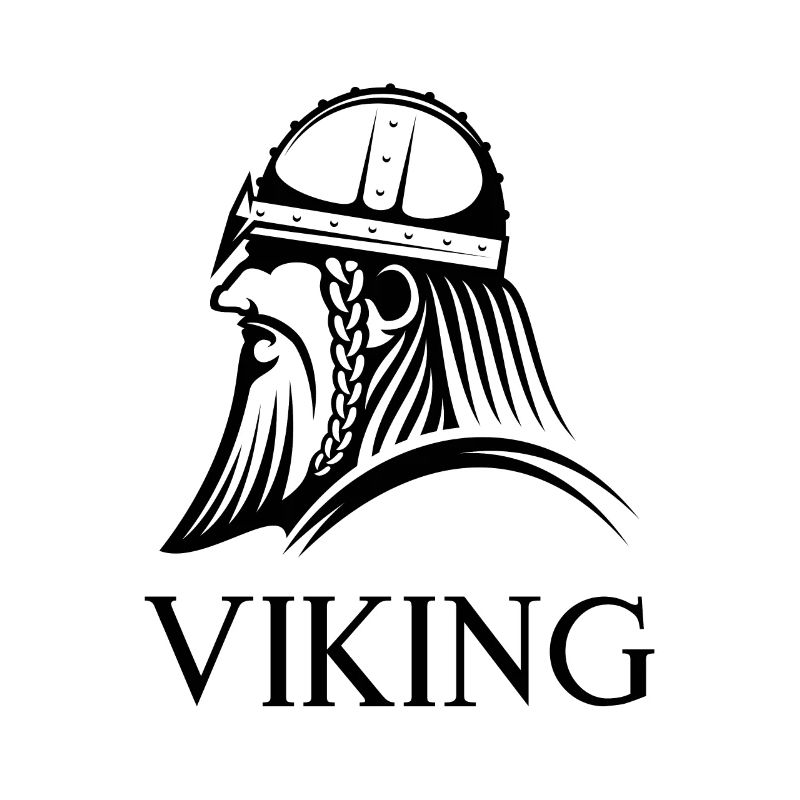 Viking Warrior