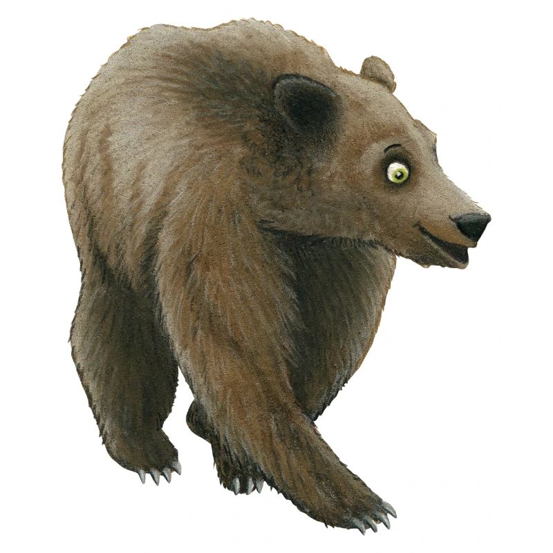 Grizzlybär