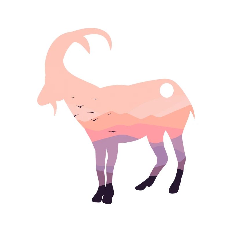 Dickhornschaf