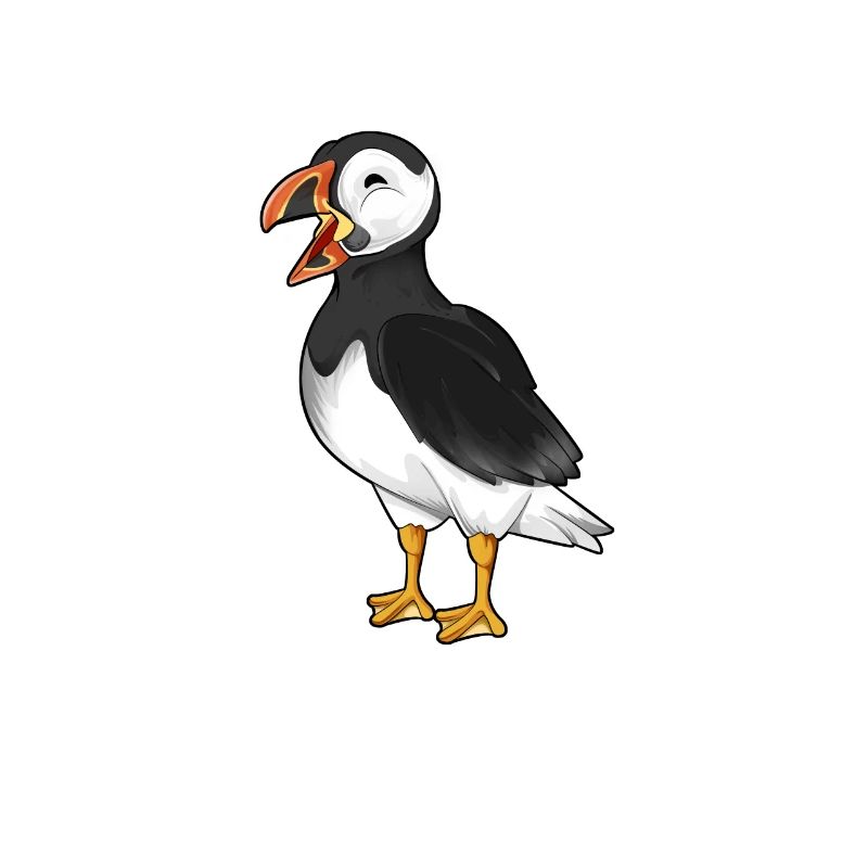 Zeichnung eines Puffin