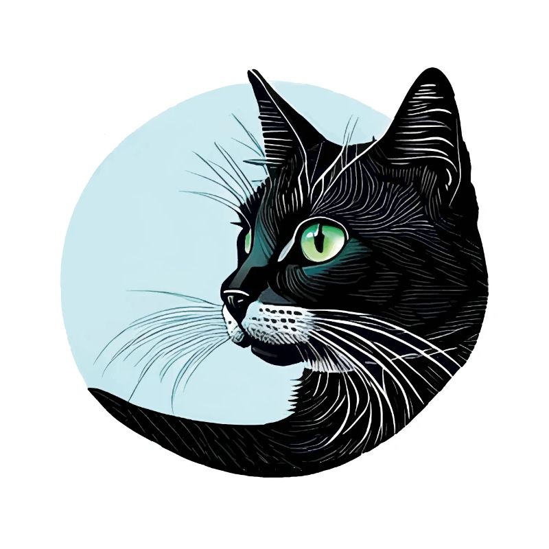 Schwarze Katze